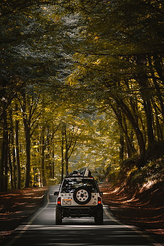 hd wallpaper car suv road forest travel thumbnail